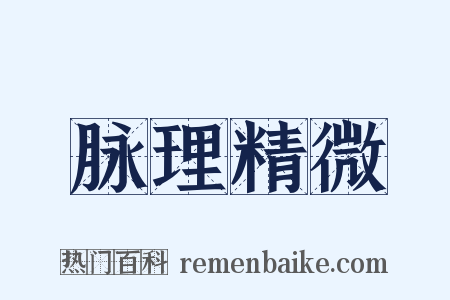 脉理精微是什么意思的图片